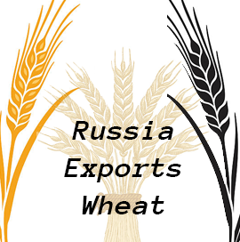 俄罗斯小麦出口