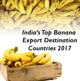 香蕉从印度出口