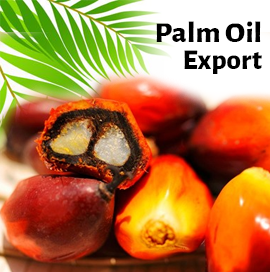棕榈油进口出口