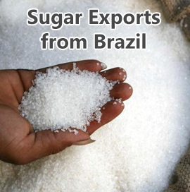 巴西食糖出口