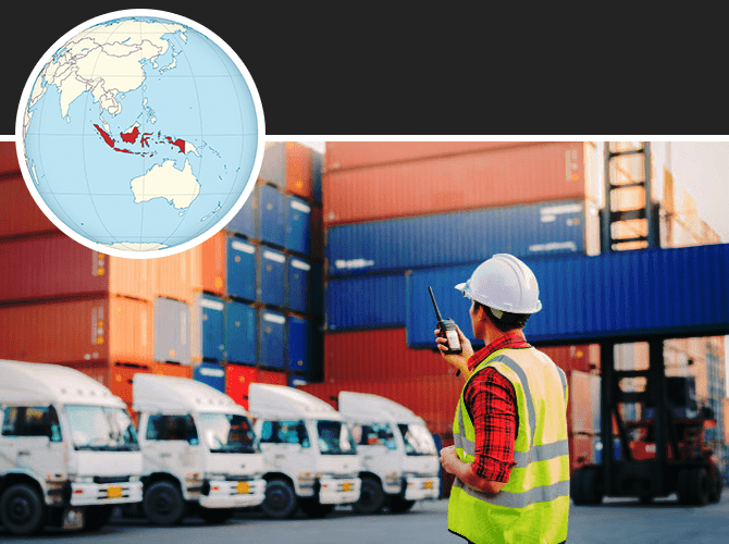 What is Indonesia Export Data? A Guide on Customs Data of Indonesia