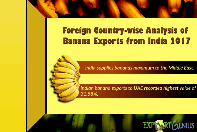 香蕉从印度出口