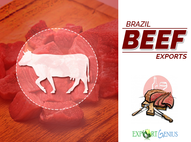 brazil-beef-exports-in-2017-list-of-best-beef-suppliers-in-brazil