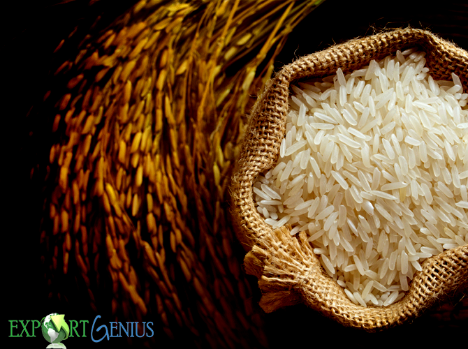 印尼大米进口商